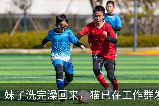 妹子洗完澡回来，猫已在工作群发了几百条信息，当场崩溃：光撤回就花了30分钟！